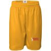 Men's Pro Mesh 9" Shorts Thumbnail